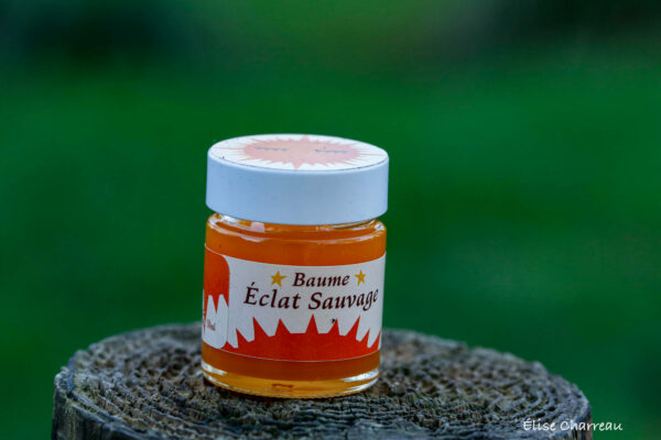 Baume Eclat Sauvage